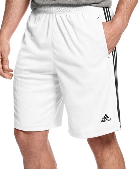 adidas white shorts